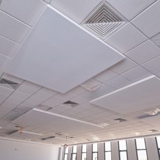 DSCF6537